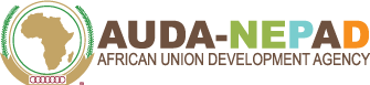 https://www.nepad.org/